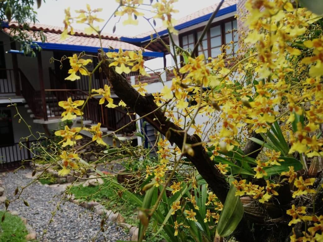 Casa Rayma Hotell Contratacion Exteriör bild